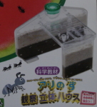 2年8月号付録