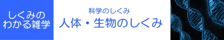 しくみのわかる雑学